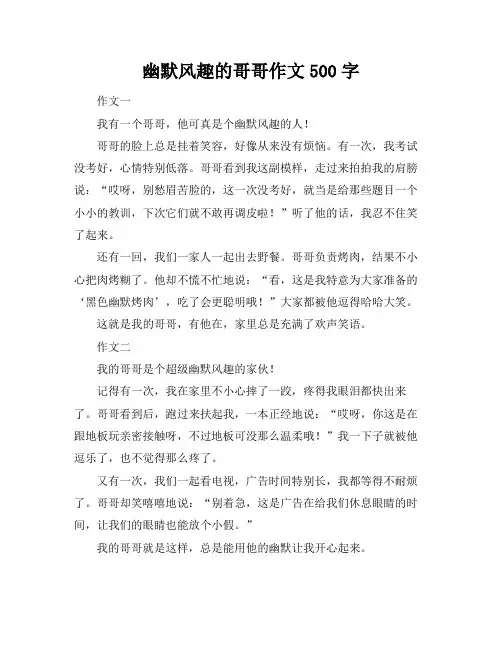 幽默风趣的哥哥作文500字