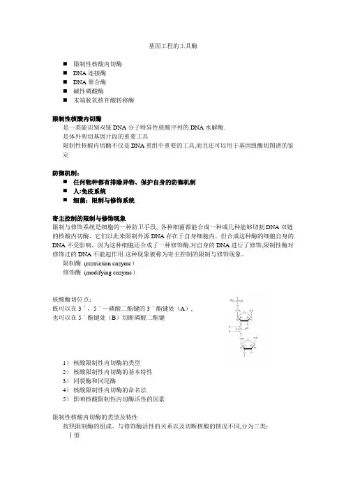 基因工程的工具酶