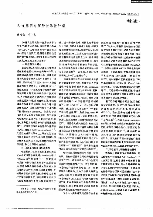 印迹基因与胚胎性恶性肿瘤
