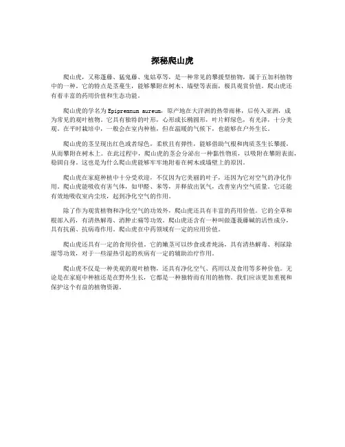 探秘爬山虎