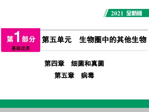 中考生物《第5单元 第四章 细菌和真菌、第五章 病毒》复习课件