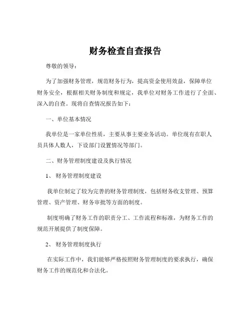 财务检查自查报告