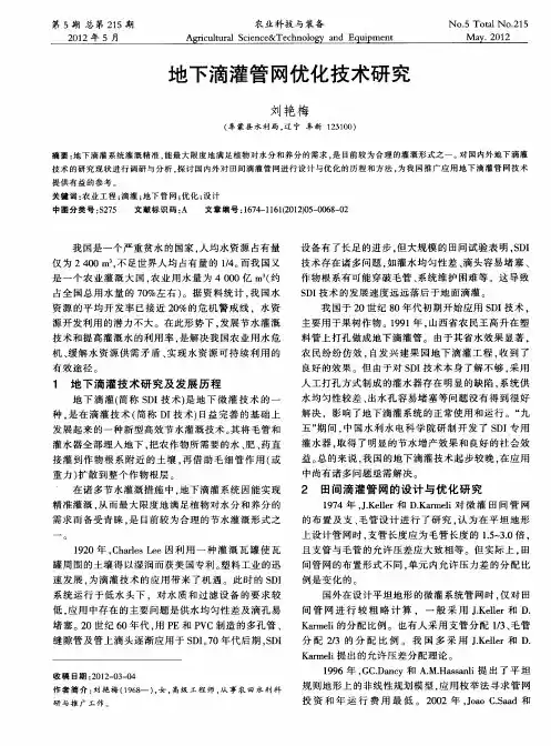 地下滴灌管网优化技术研究