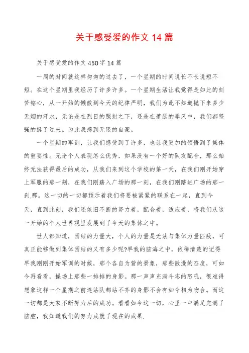 关于感受爱的作文14篇