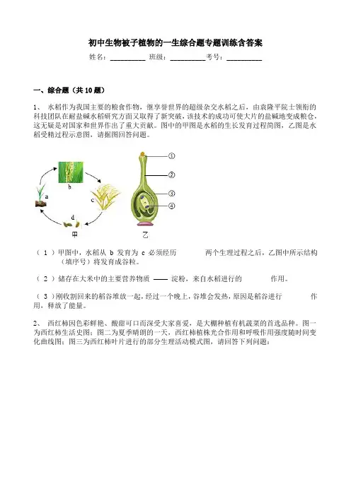 初中生物被子植物的一生综合题专题训练含答案