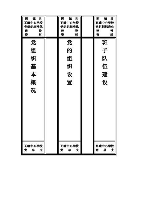 党建工作档案盒侧面标签