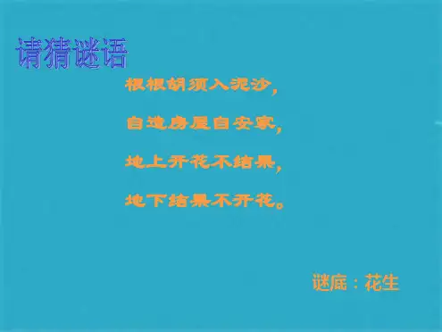五年级语文上册落花生课件 人教新课标版(共18张PPT)