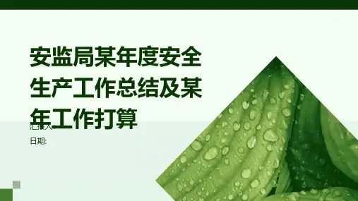 安监局某年度安全生产工作总结及某年工作打算