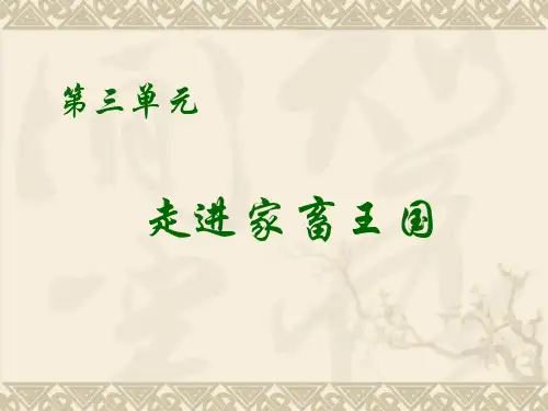 中餐热菜8走进家畜王国