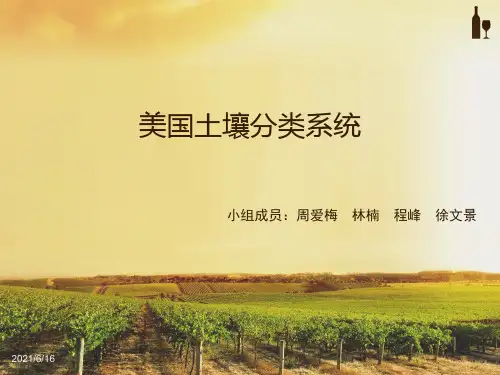 美国土壤分类系统