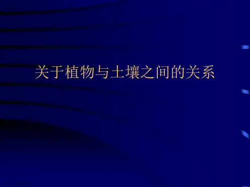 植物与土壤之间的关系