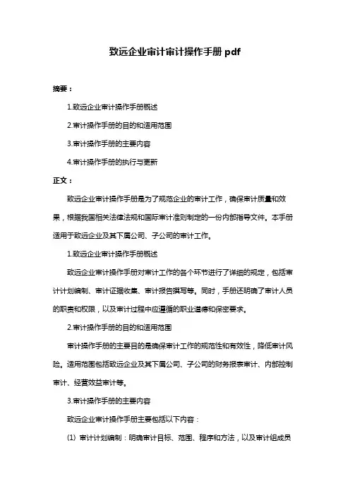 致远企业审计审计操作手册pdf