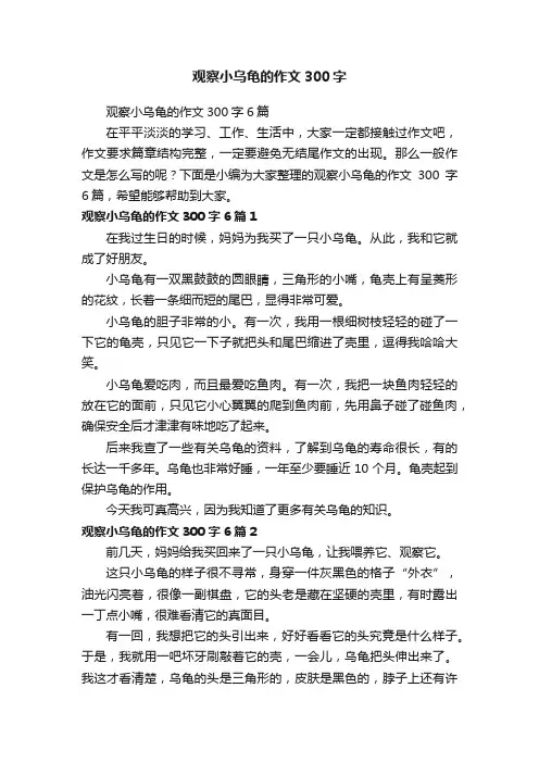 观察小乌龟的作文300字6篇