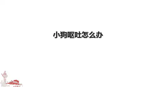 小狗呕吐怎么办