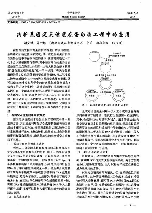 浅析基因定点诱变在蛋白质工程中的应用