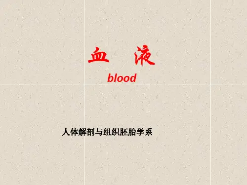 组织学与胚胎学-血液