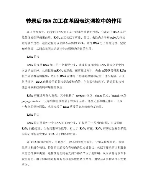 转录后RNA加工在基因表达调控中的作用