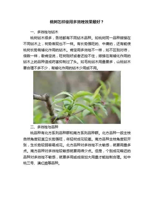 桃树怎样使用多效唑效果最好？