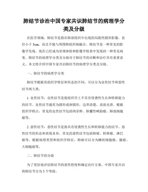 肺结节诊治中国专家共识肺结节的病理学分类及分级