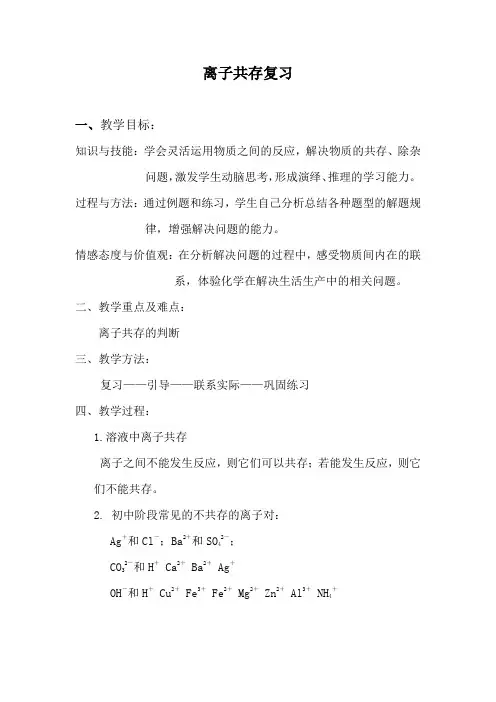 离子共存复习教案