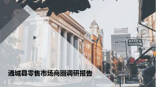通城县零售市场商圈调研报告