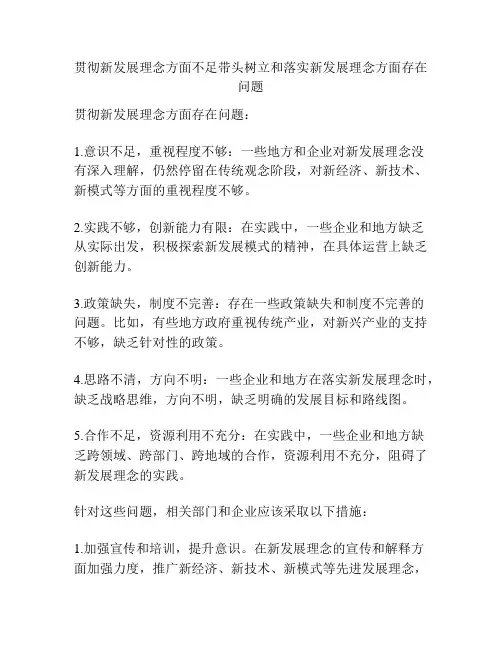 贯彻新发展理念方面不足带头树立和落实新发展理念方面存在问题