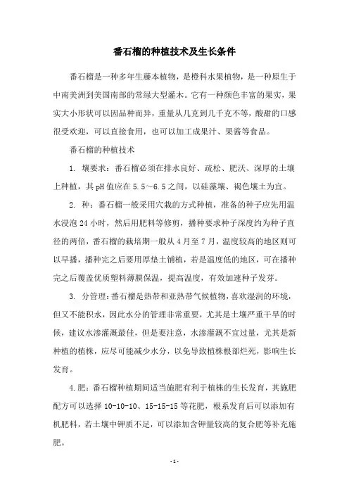 番石榴的种植技术及生长条件