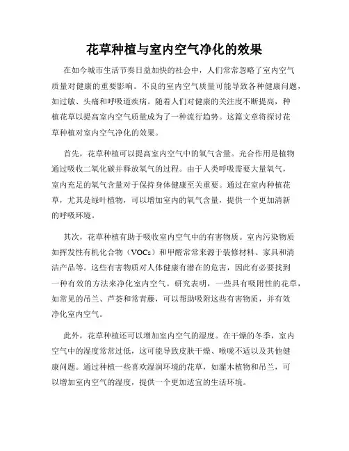 花草种植与室内空气净化的效果