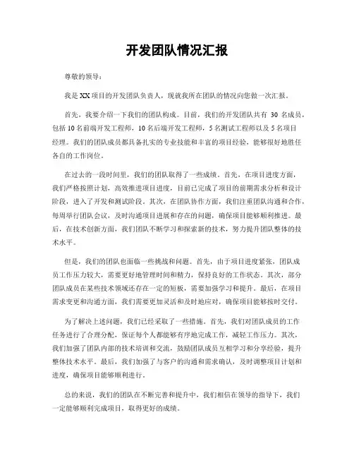 开发团队情况汇报