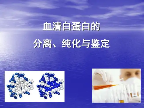 猪血清白蛋白的分ppt课件