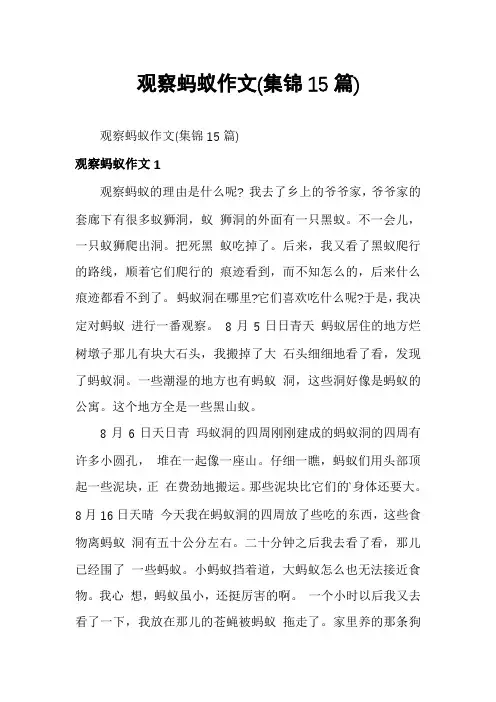 观察蚂蚁作文(集锦15篇)