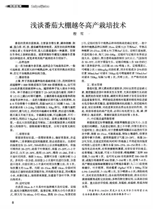 浅谈番茄大棚越冬高产栽培技术