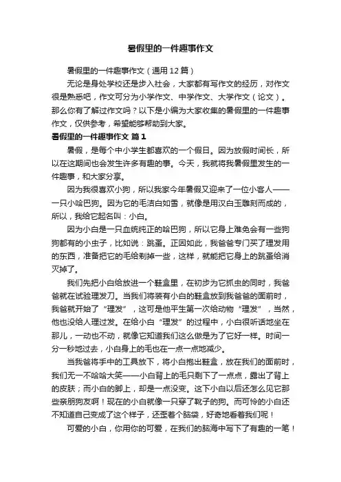 暑假里的一件趣事作文（通用12篇）