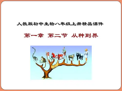 从种到界（课件ppt）