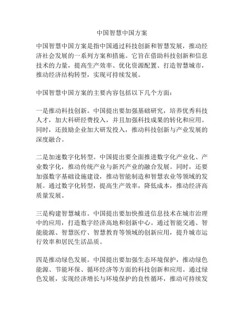 中国智慧中国方案