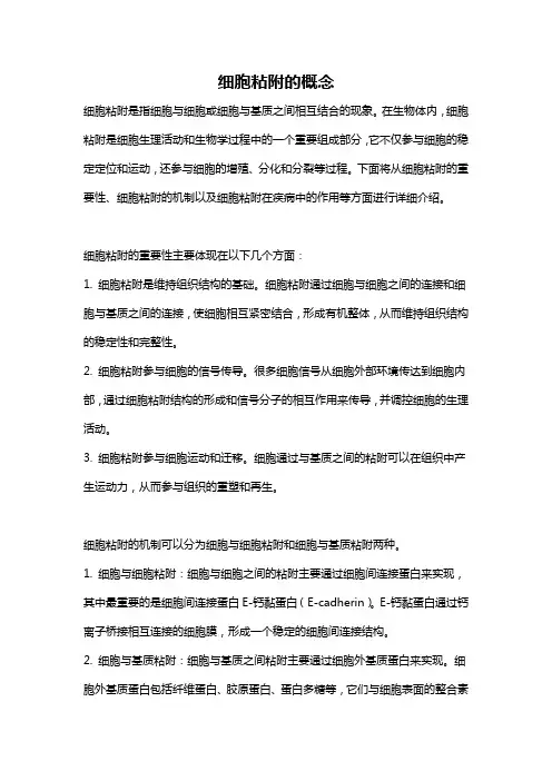 细胞粘附的概念