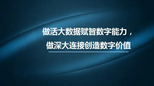 大数据赋智数字能力,大连接创造数字价值