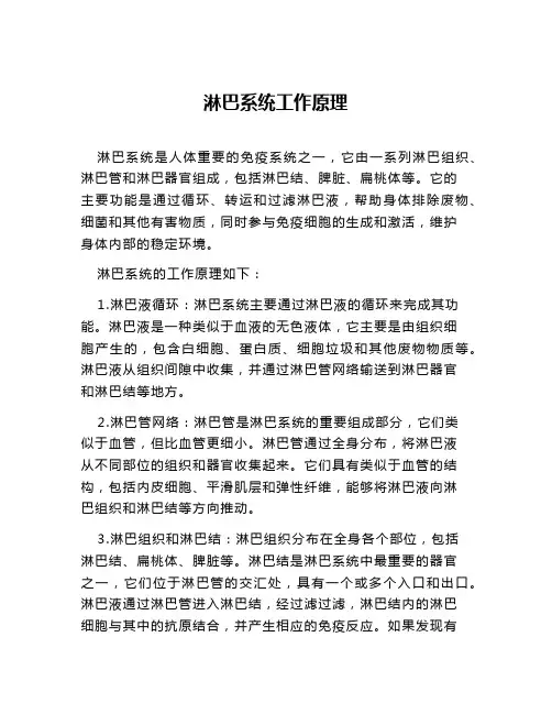 淋巴系统工作原理