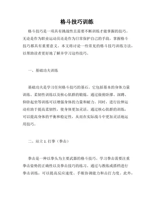 格斗技巧训练