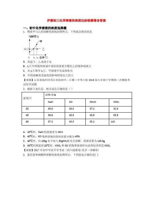 沪教初三化学溶液的浓度达标检测卷含答案