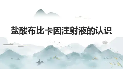 盐酸布比卡因注射液的认识