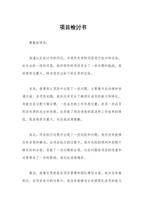 项目检讨书
