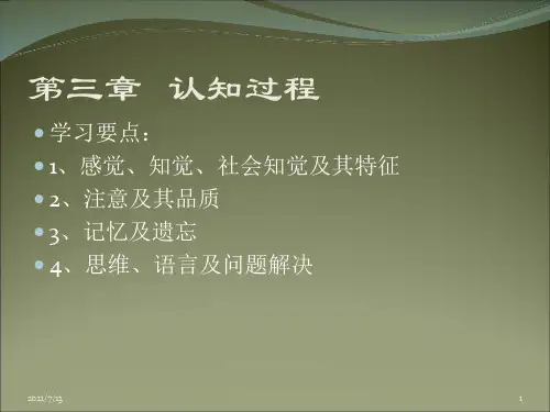 第三章第一节 感知觉
