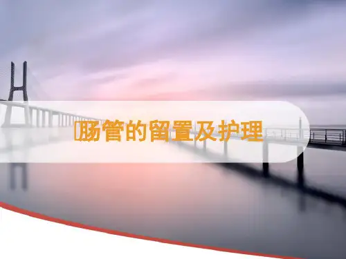 肠管的留置及护理