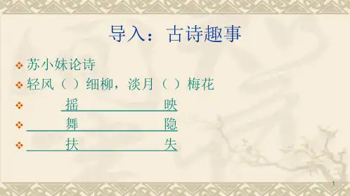 高考语文专题复习：诗歌鉴赏炼字 课件29张