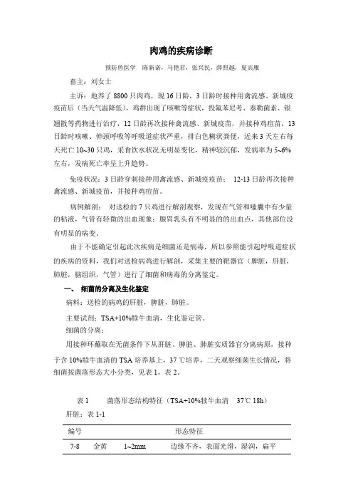 肉鸡的疾病诊断实验报告分析