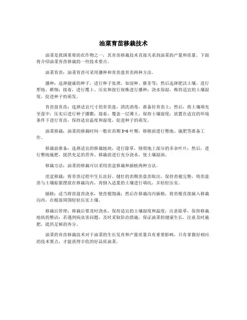 油菜育苗移栽技术