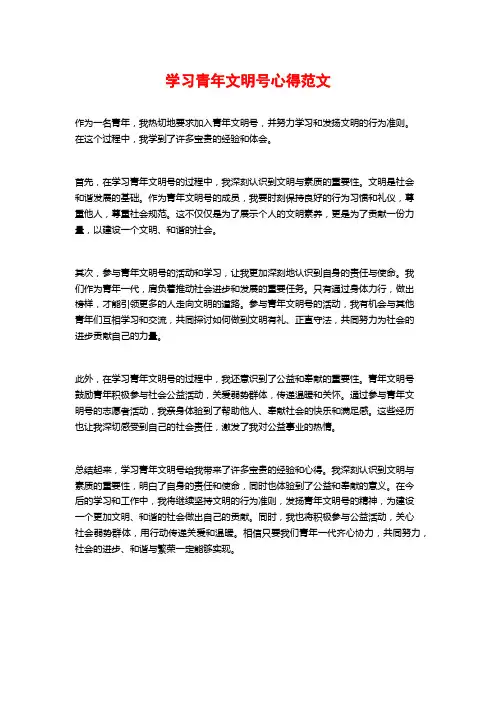 学习青年文明号心得范文