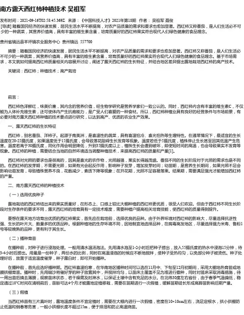 南方露天西红柿种植技术吴祖军