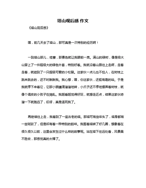 塔山观后感 作文